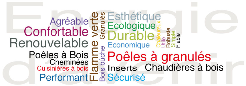 Energie d'avenir, renouvelable, confortable, agréable, performant,esthétique, durable, écologique, économique, robuste, simple, fiable,chaleureux